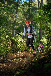 BIB: 1429
                            <button type="button" onclick="openModal(19230530)" class="btn btn-primary btn-sm float-right btn-popup" data-toggle="modal" data-target=".modal-high-quality">
                        <i class="fas fa-shopping-cart"></i> Add to Cart
                    </button>
                                            <button type="button" onclick="isThisMe(19230530, true)" class="btn btn-success btn-sm float-right btn-popup btn-isme hidden" data-toggle="tooltip" data-placement="bottom" title="นี่คือรูปของคุณใช่ไหม คลิกที่นี่เพื่อเอาเข้าอัลบั้ม">
                        <i class="fas fa-plus"></i> Add to album
                    </button>
                    <button type="button" onclick="isThisMe(19230530, false)" class="btn btn-warning btn-sm float-right btn-popup btn-isnotme hidden">
                        <i class="fas fa-ban"></i> Remove from album
                    </button>